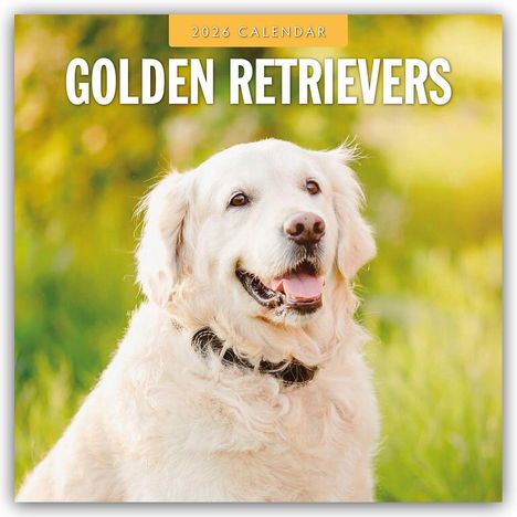 Robin Red: Golden Retrievers - Golden Retriever 2026 - 16-Monatskalender, Kalender