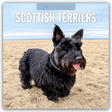 Robin Red: Scottish Terrier - Scotchterrier 2026 - 16-Monatskalender, Kalender