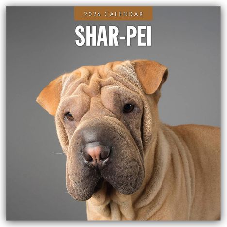 Robin Red: Shar-Pei - Chinesischer Faltenhund 2026 - 16-Monatskalender, Kalender