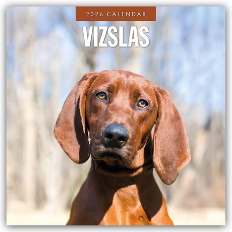 Robin Red: Vizslas - Magyar Vizsla - Kurzhaariger Ungarischer Vorstehhund 2026 - 16-Monatskalender, Kalender