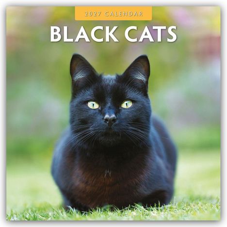 Text: "2027 Calendar" und "Black Cats". Eine schwarze Katze liegt vor einem unscharfen Hintergrund mit goldenen Lichtern.