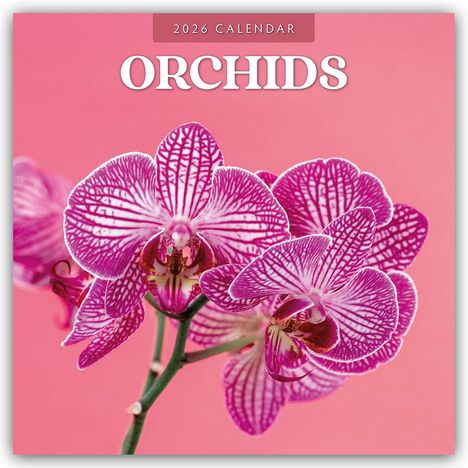 Robin Red: Orchids - Orchideen 2026 - 16-Monatskalender, Kalender