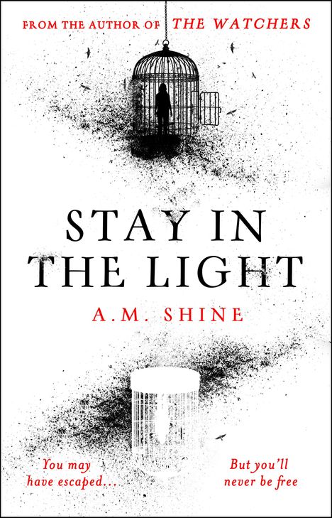 A M Shine: Stay in the Light, Buch
