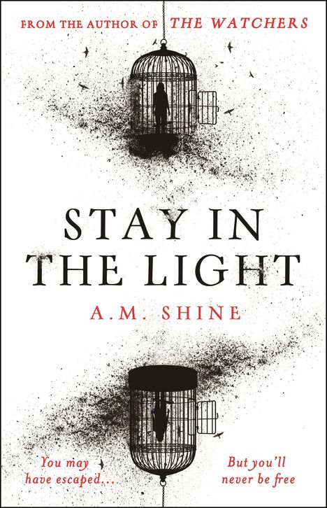 A M Shine: Stay in the Light, Buch