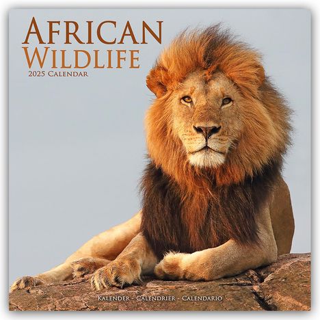 Avonside Publishing Ltd: African Wildlife - Afrikanische Tierwelt 2025 - 16-Monatskalender, Kalender