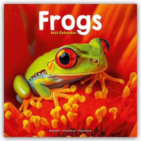 Avonside Publishing Ltd: Frogs - Frösche 2025 - 16-Monatskalender, Kalender