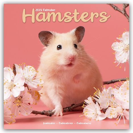 Avonside Publishing Ltd: Hamsters - Hamster 2025 - 16-Monatskalender, Kalender