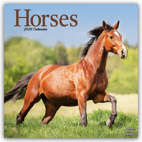 Avonside Publishing Ltd: Horses - Pferde 2025 - 16-Monatskalender, Kalender