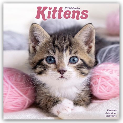 Avonside Publishing Ltd: Kittens - Kätzchen 2025 - 16-Monatskalender, Kalender