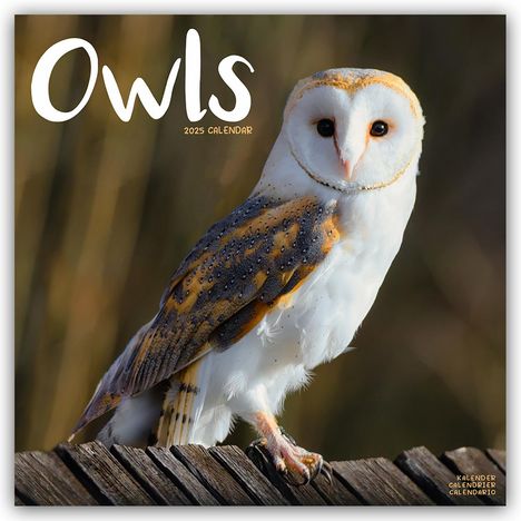 Avonside Publishing Ltd: Owls - Eulen 2025 - 16-Monatskalender - Original Avonside-Kalender [Mehrsprachig] [Kalender], Kalender