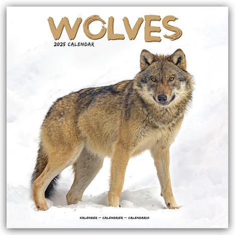 Avonside Publishing Ltd: Wolves - Wölfe 2025 - 16-Monatskalender, Kalender
