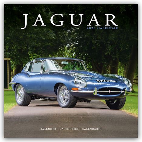 Avonside Publishing Ltd: Jaguar 2025 - 16-Monatskalender, Kalender