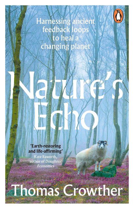 "Nature's Echo", Thomas Crowther. Ein Schaf steht in einer lila Heidewiese, umgeben von Bäumen im Nebel.