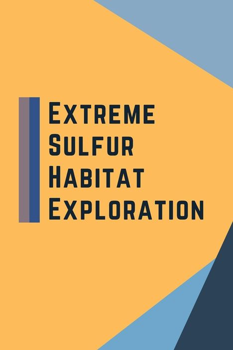 Piyush Mandal: Extreme Sulfur Habitat Exploration, Buch