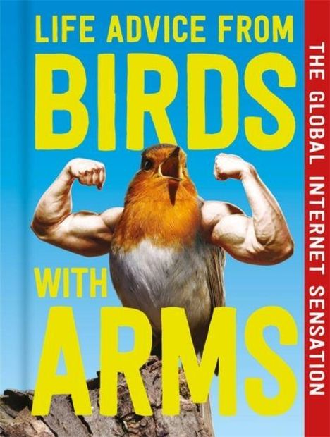 "Life Advice From Birds With Arms" steht in großen Buchstaben. Ein Vogel mit muskulösen Armen posiert selbstbewusst.