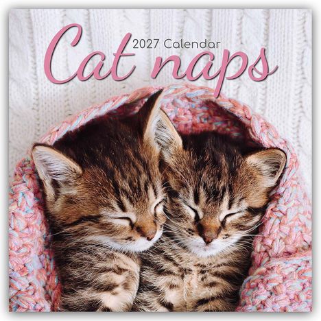 „2027 Calendar: Cat naps“ in rosa Buchstaben. Zwei schlafende Kätzchen sind in eine gestrickte Decke eingehüllt.