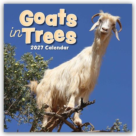 „Goats in Trees 2027 Calendar“. Eine Ziege steht auf einem Baum, umgeben von grünem Laub und blauem Himmel.