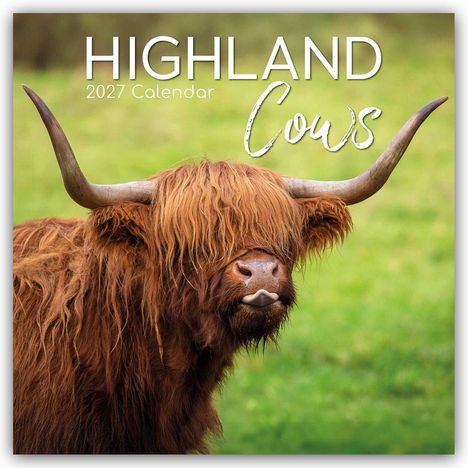 Texte: "HIGH-LAND 2027 Calendar Cows". Ein Highland-Rind mit langen Hörnern und zotteligem, rotbraunem Fell.