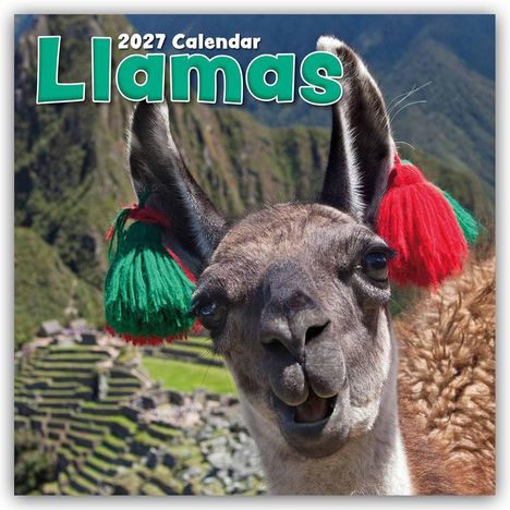 Text: „2027 Calendar Llamas“. Ein Lama mit roten und grünen Pompons an den Ohren, im Hintergrund Berge und Terrassen.