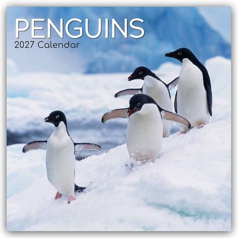 Text: "PENGUINS 2027 Calendar." Vier Pinguine stehen auf einer Schneelandschaft vor einem blauen Hintergrund.