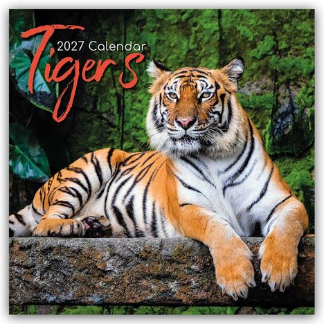 Text: "2027 Calendar Tigers". Ein Tiger liegt entspannt auf einem Baumstamm vor einem grünen Hintergrund.