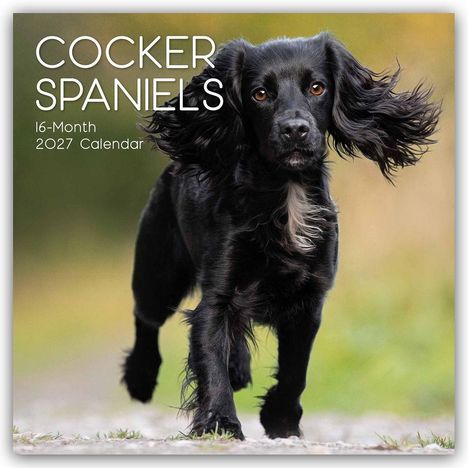 Text: "Cocker Spaniels", "16-Month 2027 Calendar". Ein schwarzer Cocker Spaniel läuft auf den Betrachter zu.