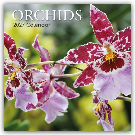 „ORCHIDS 2027 Calendar“ steht oben auf dem Bild. Darunter sind rosa-weiße Orchideen mit gelbem Zentrum abgebildet.