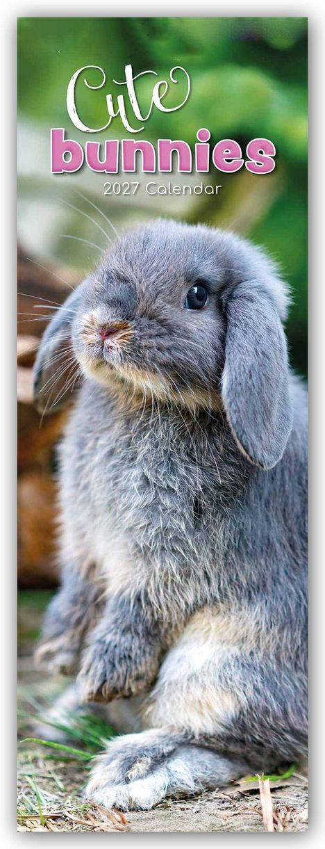 Text: "Cute bunnies 2027 Calendar". Ein flauschiges, graues Kaninchen sitzt aufmerksam auf dem Boden.