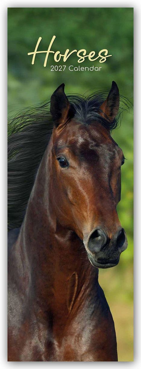 „Horses 2027 Calendar“. Ein braunes Pferd vor unscharfem, grünem Hintergrund.
