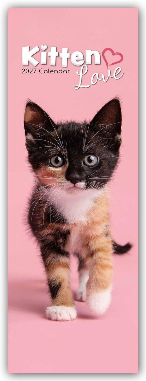 „2027 Calendar Kitten Love“. Eine junge mehrfarbige Katze auf rosa Hintergrund.