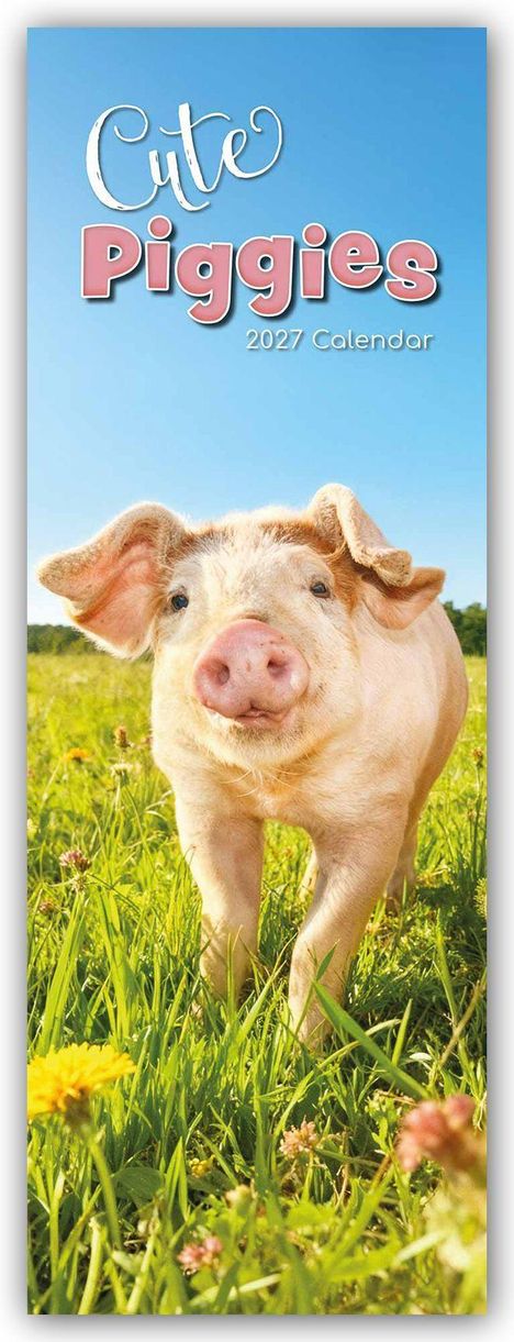 „Cute Piggies 2027 Calendar“. Ein lächelndes Ferkel steht auf einer Wiese voller grüner Gräser und gelber Blumen.