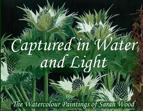 "Captured in Water and Light. The Watercolour Paintings of Sarah Wood." Zeigt grüne und weiße Disteln auf dunklem Hintergrund.