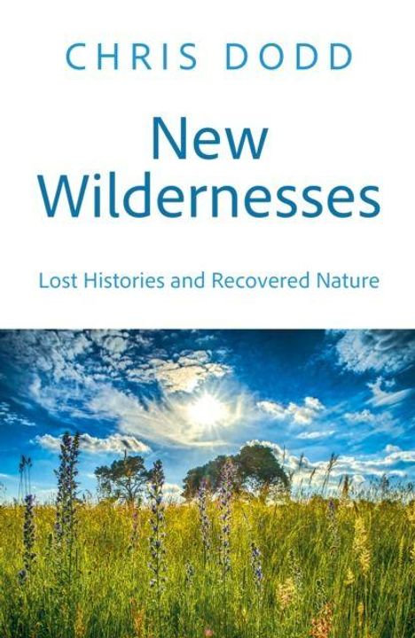 "CHRIS DODD. New Wildernesses. Lost Histories and Recovered Nature." Eine Wiese mit wildem Himmel und leuchtenden Wolken.