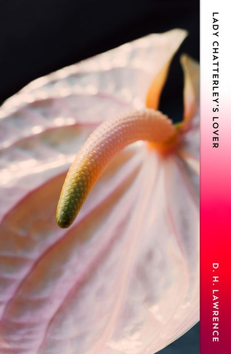 „LADY CHATTERLEY'S LOVER“; Darunter „D. H. LAWRENCE“. Ein zart rosafarbenes Blatt mit einem länglichen Blütenstempel.
