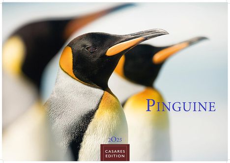 Pinguine 2025 L 35x50cm, Kalender