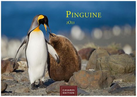 Pinguine 2025 S 24x35cm, Kalender