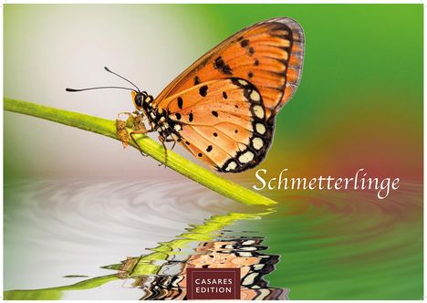 Schmetterlinge 2025 L 35x50cm, Kalender