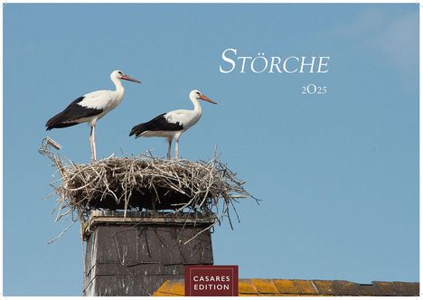 Störche 2025 S 24x35cm, Kalender