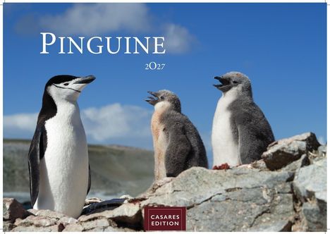 Text: "PINGUINE 2027" und "CASARES EDITION". Drei Pinguine auf Felsen unter blauem Himmel.
