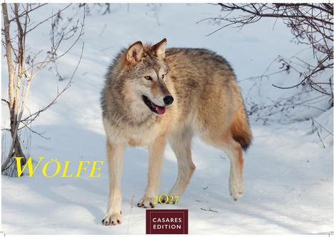 Text: "WÖLFE", "2027", "CASARES EDITION". Ein Wolf läuft im Schnee, umgeben von kahlen Zweigen.