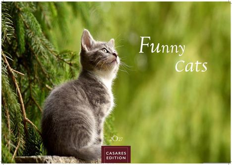"Funny Cats" in eleganter Schrift, darunter sitzt eine graue Katze auf einem Holz, mit Blick nach oben vor grünen Bäumen.
