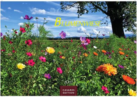 Blumenwiese, 2027. Viele bunte Blumen auf einer Wiese unter blauem Himmel, umrahmt von einem Baum.