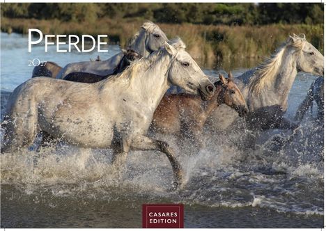 Text: "Pferde 2027", "CASARES EDITION". Weiße Pferde galoppieren durch Wasser, Spritzer fliegen in die Luft.