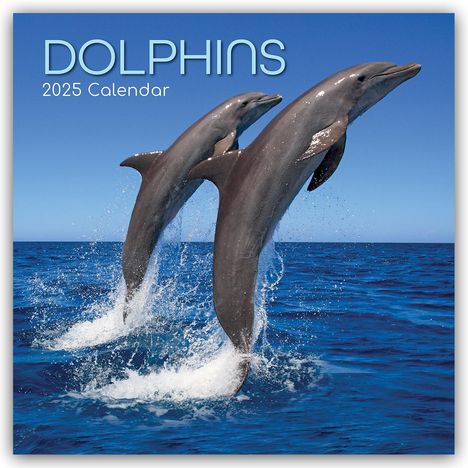 The Gifted Stationery Co. Ltd: Dolphins - Delfine - Delphine 2025 - 16-Monatskalender, Kalender