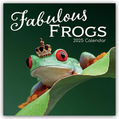Gifted Stationery Co. Ltd: Fabulous Frogs - Fabelhafte Frösche 2025 - 16-Monatskalender, Kalender
