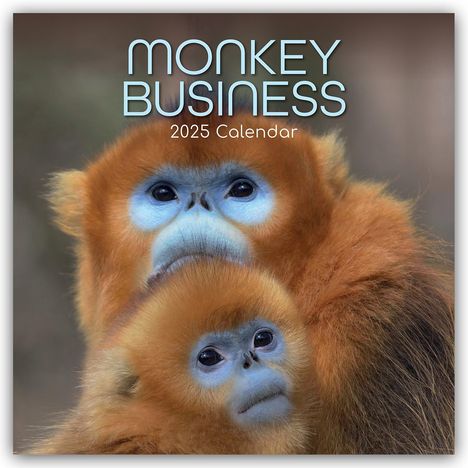The Gifted Stationery Co. Ltd: Monkey Business 2025 - 16-Monatskalender, Kalender