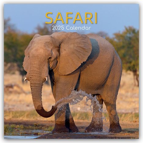 The Gifted Stationery Co. Ltd: Safari 2025 - 16-Monatskalender, Kalender