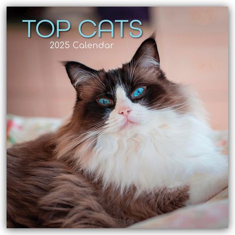 Gifted Stationery Co. Ltd: Top Cats - Top-Katzen 2025 - 16-Monatskalender, Kalender