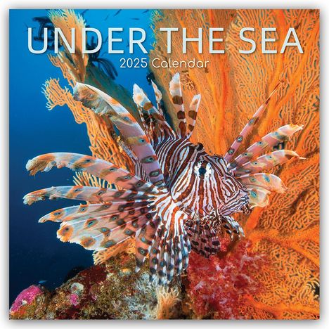 Gifted Stationery Co. Ltd: Under the Sea - Tropische Fische 2025 - 16-Monatskalender, Kalender