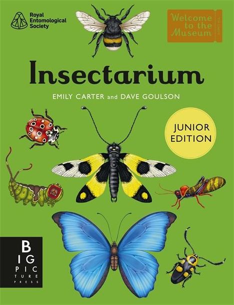 Dave Goulson: Insectarium (Junior Edition), Buch